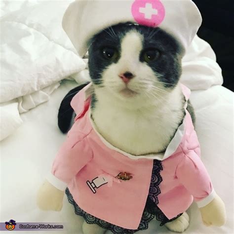 cat nurse outfit|cat nurse costume ideas.